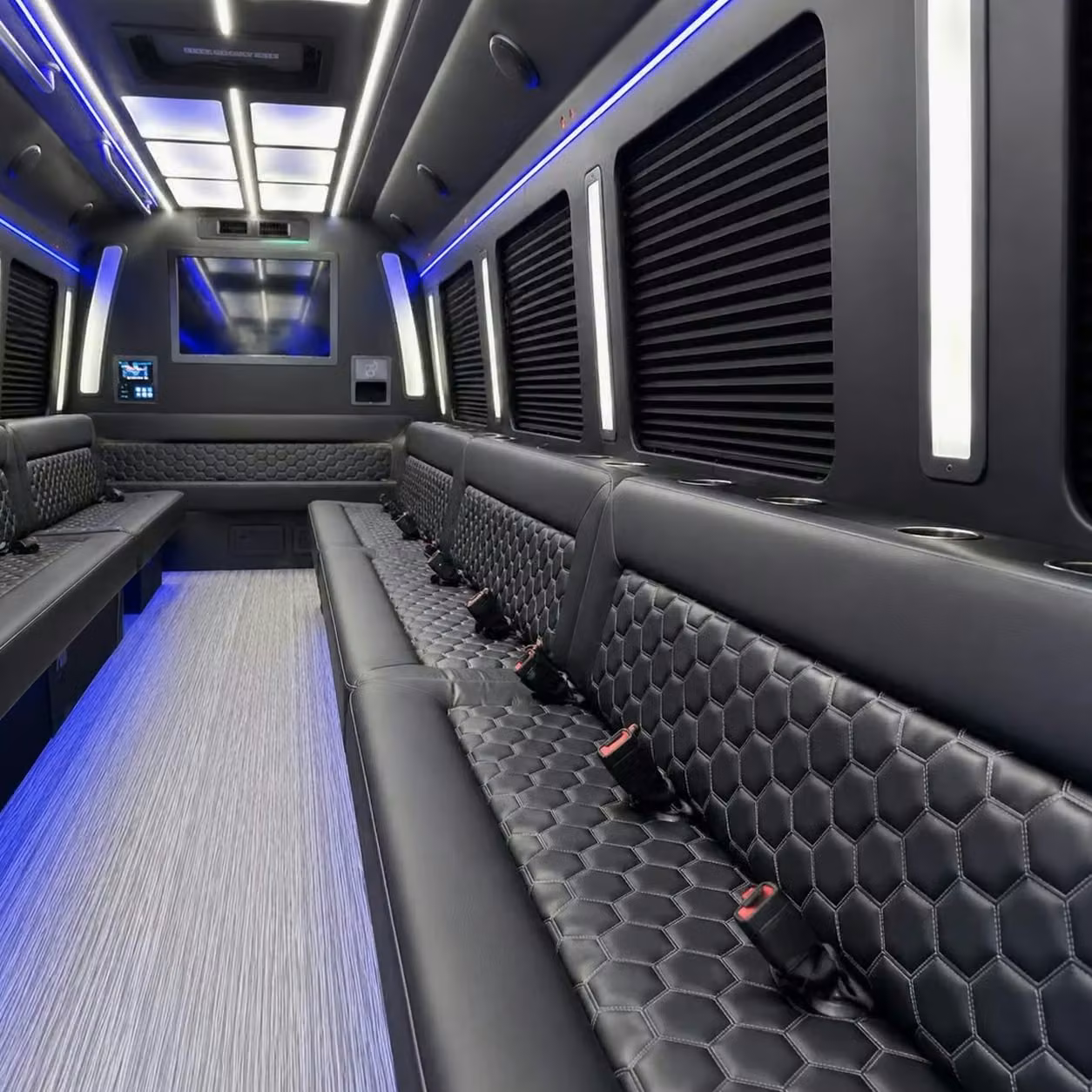 hammond party bus party lighting